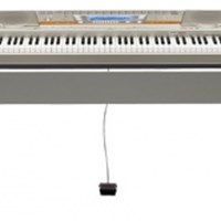Đàn Organ Casio WK-8000